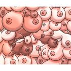 Tapis de Souris Couleur avec Dessin de Seins