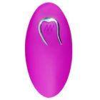 Remplacement de la Télécommand