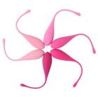Kegel Fit Ensemble d'Entraînement Musculaire Pelvien 6 Pcs