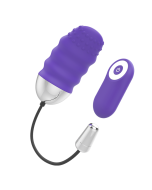 MR BOSS - TÉLÉCOMMANDE DENIS EGG