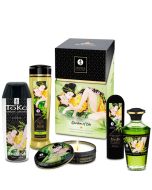 SHUNGA - KIT DE JARDIN EDO COLLECTION BIO