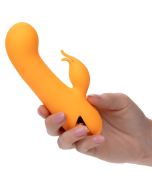 CALEXOTICS - MONTECITO MUSE VIBRATEUR LAPIN ORANGE PAR CALIFORNIA DREAMING