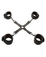 CALEXOTICS - NOCTURNAL CONNECTEUR TIE HOG CUERO AJUSTABLE NOIR