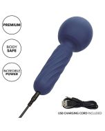 CALEXOTICS - CHARISMA SEDUCTION MASSEUR 12 FONCTIONS 17,75 CM X 6,25 CM VIOLET