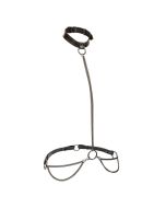 CALEXOTICS - EUPHORIA COLLIER ET LAISSE CHAINE