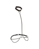 CALEXOTICS - EUPHORIA COLLIER LICOL ET LAISSE GRANDE TAILLE