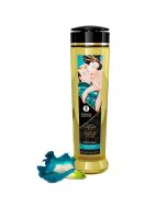 SHUNGA - HUILE DE MASSAGE ÉROTIQUE SENSUELLE 240 ML
