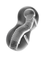 JAMYJOB - MASTURBATEUR EXTREME TENSEK 3 CLAIR