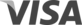 logo visa